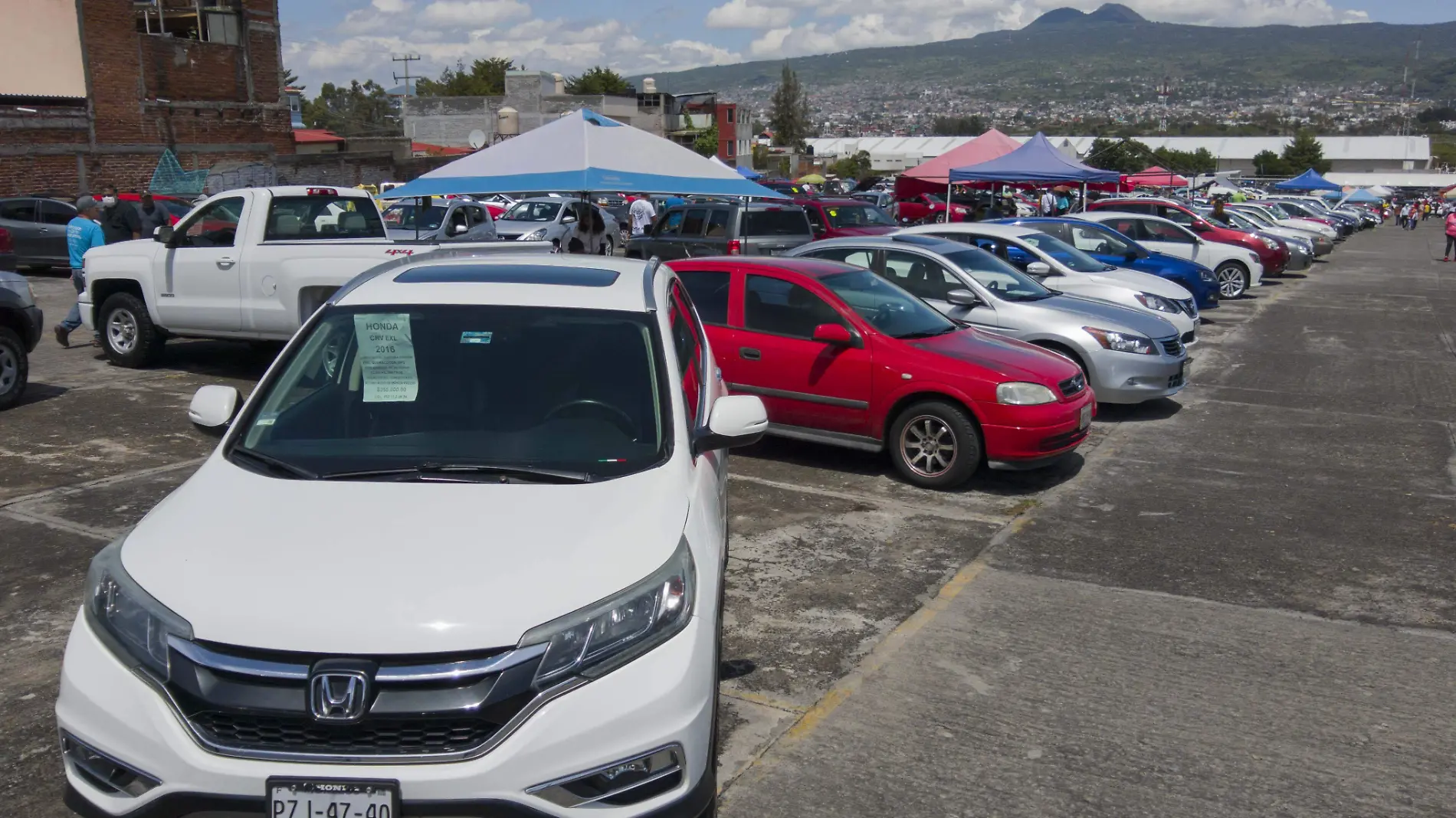 ROBO DE AUTOS_AJO (1)